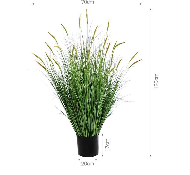 Plante en pot de roseau Daylily de 120 cm
