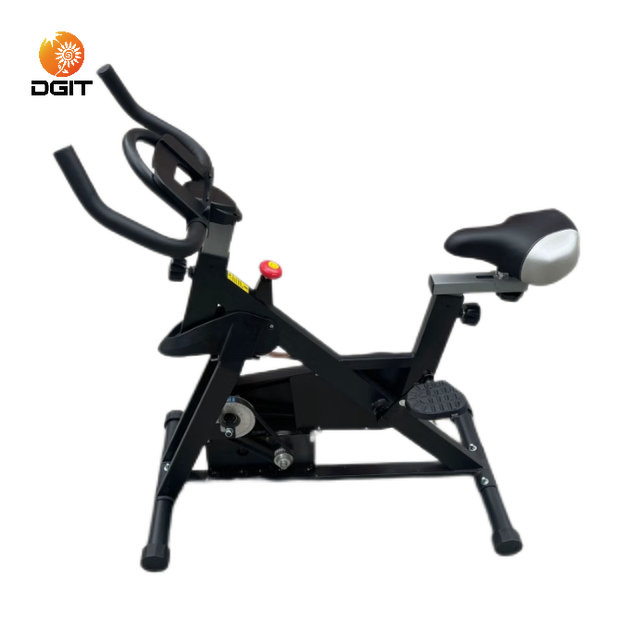 Fitness Bicycle Fitness 2000w 2kw 220v 12v 24v 48v 60v 72v 84v Power Electric Pedal Foot Generator Alternator with Stabilizer