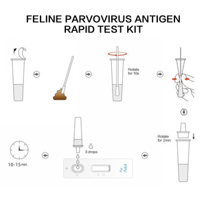 <span class=keywords><strong>Kit</strong></span> de <span class=keywords><strong>test</strong></span> rapide de santé pour animaux de compagnie portable, carte de <span class=keywords><strong>test</strong></span> rapide de 28 jours pour chiens, produits vétérinaires pour animaux de compagnie - Product Image 5