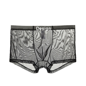 Sous-vêtements sexy ultra-fins pour hommes, lingerie transparente, maille respirante, <span class=keywords><strong>string</strong></span> mi-haut, boxer en coton 100% - Product Image 2