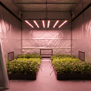 SLTMAKS Paneles de Control de Cadena para Luces de Cultivo en Invernadero, Regulables, Plegables, Samsung 720W, Luces LED de Espectro Completo - Product Image 1