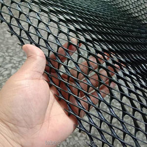 Rete composita Tri-dimensionale di drenaggio composito Geonet <span class=keywords><strong>3D</strong></span> rete di drenaggio Geomat erosione controllo Geonet composto netto per drenaggio - Product Image 2