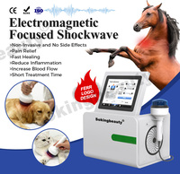 Appareil de thérapie par ondes de choc portables populaires pour animaux, machine à ondes de choc à pénétration profonde pour chevaux