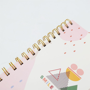 2020 venta al por mayor Eco amigable reciclable duro cubierta de cuaderno de espiral para <span class=keywords><strong>la</strong></span> escuela - Product Image 6