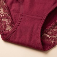 Culottes élégantes en dentelle à couvrance totale, bordées festonnées, transparentes et sexy pour femmes, grandes tailles, coffret cadeau, directement de l'usine