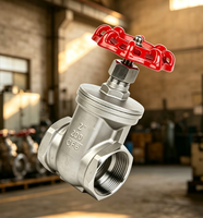 Válvula de Compuerta de Acero Inoxidable de Control Directo de Fábrica Wenzhou, Tamaño de Brida Personalizado OEM, ANSI DIN JIS SS304 SS316L, Válvula Industrial