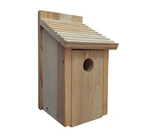 Maison d'oiseaux bleu clair, en bois massif, bon marché, avec verrou de sécurité