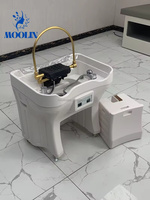 Bac à shampoing portable Moolin Modern Salon en acrylique pour salle de bain, multifonctionnel, avec réservoir d'eau et fonction massage.