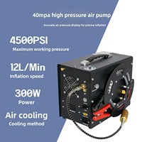 Compresor de Aire Portátil de Acero Inoxidable 304, 220V/12V, Alta Presión 4500psi/300bar/30mpa, Apagado Automático, Sin Aceite, para Caza y Paintball