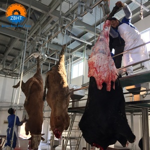 Ligne d'abattage de bovins halal clé en main, équipement de transformation de viande pour abattoir, machine d'abattage, usine chinoise - Product Image 1