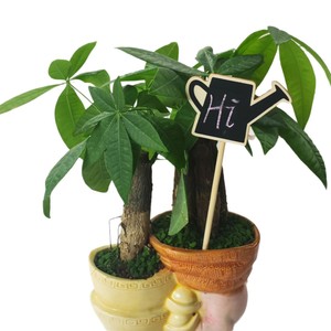 Letrero de jardín de madera con forma irregular, hecho a mano, de boj, para decoración floral del hogar - Product Image 3