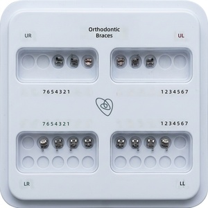 Brackets de Ortodoncia Autoligables de 80 Mallas, de Acero Inoxidable, con Kit de Arco Dental - Product Image 2