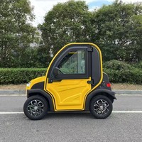 Voiture électrique de transport à 2 places, type boîte fermée, mignonne, légère et flexible, véhicule électrique à 4 roues pour utilisation en parc