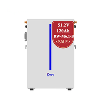 Baterai Lithium Deye LiFePO4 RW-M6.1-B(LV) yang Dipasang di Dinding 51.2V 120An 57.6kwh Baterai Tenaga Surya dengan Inverter Hibrida untuk Penggunaan Rumah Tangga