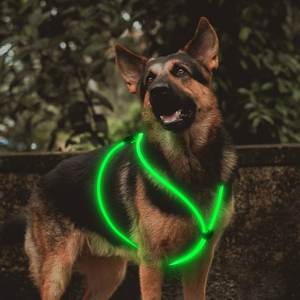 Arnés para perro de fibra óptica USB de estilo moderno, chaleco LED brillante, diseño clásico a rayas para caminar de noche, <span class=keywords><strong>collar</strong></span> iluminado hecho de plástico - Product Image 1