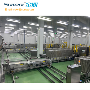 Linea di scarico di carico del sacchetto di sterilizzazione della storta completamente automatica per i pasti pronti - Product Image 3