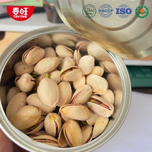 Pistachos Salados Tostados Premium en Lata de 120g, Snack Saludable de Frutos Secos, Certificado Halal, Cacahuetes para Venta al Por Mayor - Product Image 2