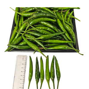 พริกสดแช่แข็งเวียดนามบริการหลังการขายดีเยี่ยมเครื่องเทศทางการเกษตร - Product Image 6