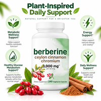 240 Capsules de Berbérine pour Adultes en Stock Important avec Cannelle de Ceylan et Chrome OEM 3000mg Suppléments Herbales Pures Capsules de Berbérine