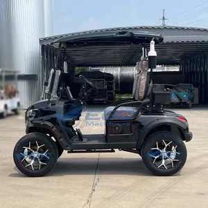 Voiturette de golf électrique noire en acier à deux places, modèle spécial pour le transport et les visites touristiques, avec dépôt requis - Product Image 5
