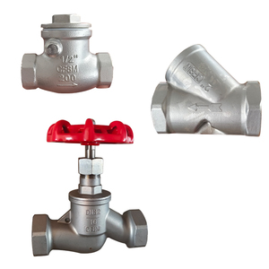 Đúc chủ đề van thép không gỉ cf3m cf8m cổng nữ <span class=keywords><strong>Globe</strong></span> ngang Swing kiểm tra van 304 316 Y lọc để bán - Product Image 4