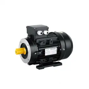 IE1/ IE2 MS Electric Motor 0.75 kw three phase electric motor for cutter