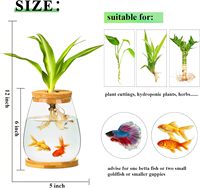 Vase terrarium élégant en verre pour plantes hydroponiques et petits poissons avec couvercle en bois