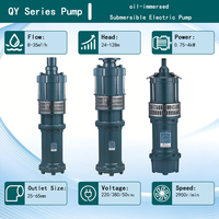 Pompa Air Listrik Submersible Berpelapis Minyak Q-QD 0.75-4kW 8-35m³/jam 24-128m untuk Sistem Irigasi Pertanian  Character Count