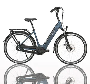 Shimano nexus 7速36V 13Ah电池循环电动自行车城市通勤电动自行车成人电动自行车电机