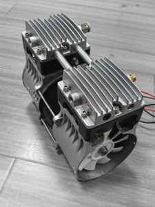 2024 New 10L Oxy Bộ Tập Trung Máy Nén Khí 750W 120lpm 200kpa Im Lặng Dầu Miễn Phí Máy Nén Cho Cổ Phiếu Bán - Product Image 3