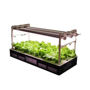 Coltivatore di verdure intelligente indoor idroponico fuori suolo con scatola per piantare a 22 fori con luce a LED