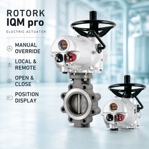 Proveedor de Actuadores Inteligentes IQ3 para Plantas de Tratamiento de Agua y Tuberías de Gas y Petróleo - Product Image 4
