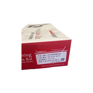 New Sneik Xây Dựng Lại <span class=keywords><strong>Kit</strong></span> 96416302 B12 Thời Gian Chuỗi Set Cho Wuler Nhập Khẩu Động Cơ/Spark 1.2L - Product Image 3