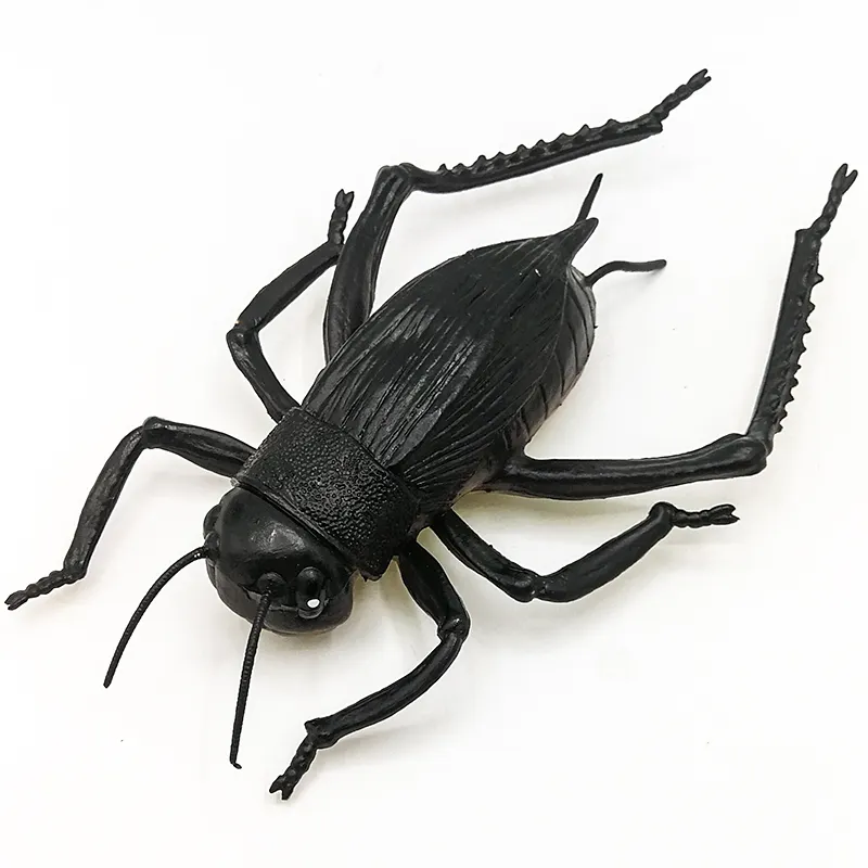 Hàng hóa tại chỗ quá khổ entomozoa bay côn trùng PVC Bọ Cạp Bọ Cạp nhện Cricket Bọ Cánh Cứng đồ chơi côn trùng nhân tạo Quà Tặng trẻ em