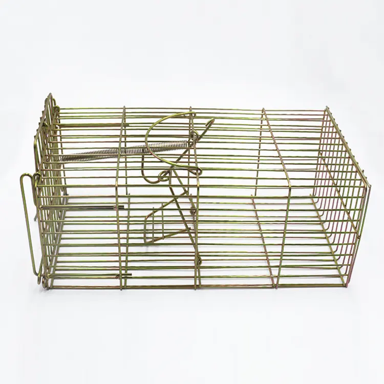 Animal Trap für Chipmunk, Squirrel, Rat, und Weasel, Steel Colapsible Animal Trap Cage Trusted Quality