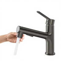 Robinet de lavabo extractible gris anthracite en acier inoxydable 304, mitigeur à poignée unique avec cartouche céramique pour salle de bain et chambre