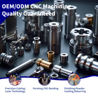 Servicios de Mecanizado CNC OEM Personalizados para Piezas de Acero Inoxidable, Titanio y Aluminio, Perforación, Tratamiento de Superficies, Certificación ISO9001