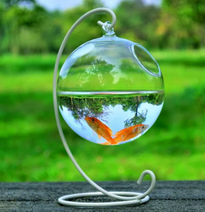 Boule en verre Transparent aquarium suspendu maison poisson bouteille Vase poisson réservoir - Product Image 2