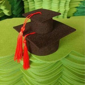 Mini Cappello da Dottore in Feltro per Bambini, Decorazione per Feste di Laurea, Bottiglie di Vino, Fiori, Torte, con Nappa - Product Image 1