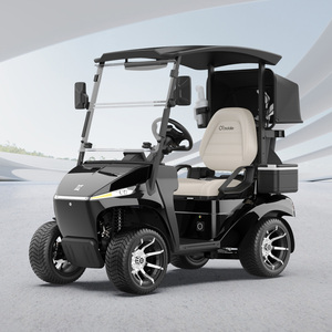 Carrito de Golf Premium de un Solo Asiento, con Motor de 48V, Diseño Ligero para Campos de Golf y Resorts, Fácil de Manejar y Mantener - Product Image 1