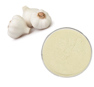 Gıda Sınıfı Doğal Organik Sarımsak Ekstresi <span class=keywords><strong>Allicin</strong></span> Tozu - Product Image 1