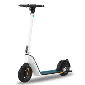 NEW Design Removable battery 12 Ah 10 inch 100 W 50 km Range Fat Tire electric scooter