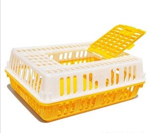 Africa market plastic live poultry chicken transport crate
