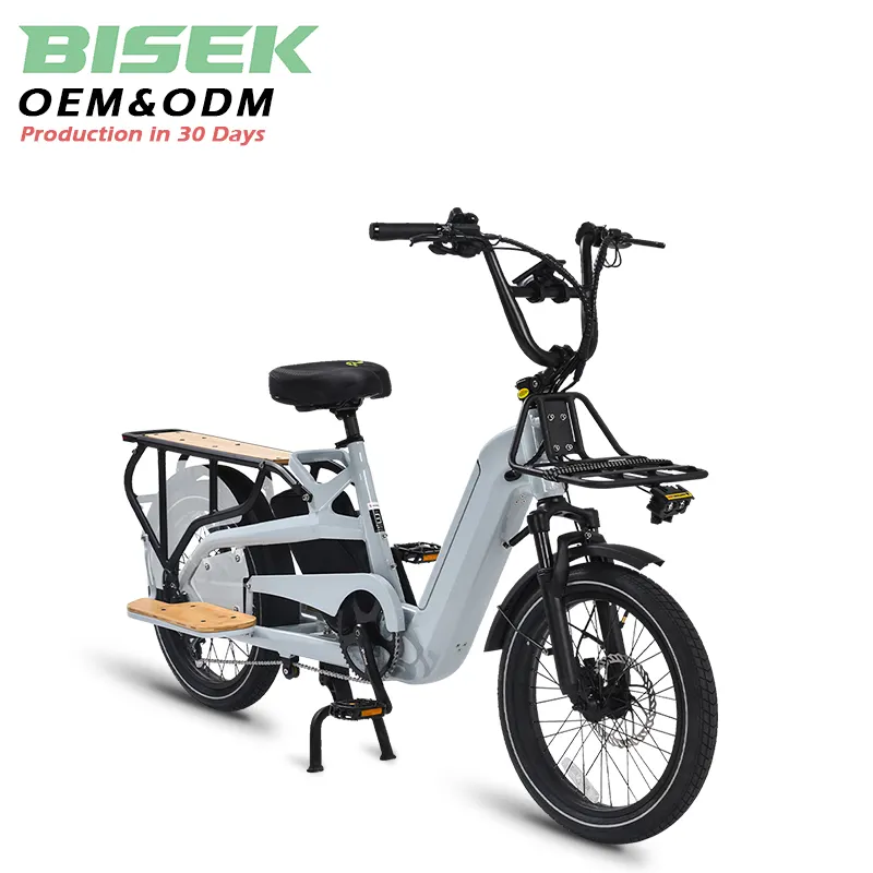 Oem 36v 48v 250w 500w 750w電動カーゴバイク自転車Ebikeダブルリチウム電池キッズサスペンションフォーク用ファットタイヤ