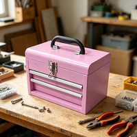Armoire à outils en acier robuste rose, 2 tiroirs, portable, verrouillable, avec poignée de transport, OEM/ODM, capacité de charge de 300 kg pour le stockage de matériel