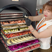 Machine de lyophilisation alimentaire industrielle de 40 kg, équipement de séchage par congélation commercial pour fruits, légumes, herbes et collations