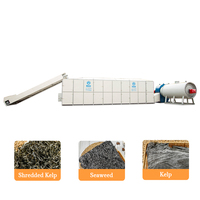 Topverkopers Automatische Elektrische Verwarmings-Meshbanddroogmachine voor Kelp, Kardemom, Tomaten, Rode Dadels & Kurkuma