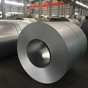 cheap custom design prepainted galvanized steel coil for building