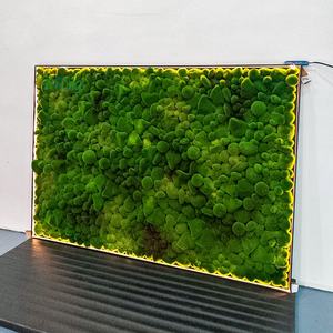 ผนัง<span class=keywords><strong>มอ</strong></span><span class=keywords><strong>ส</strong></span>เทียมตกแต่งบ้านในชีวิตประจำวัน - Product Image 4