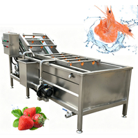 Hoge kwaliteit 304 roestvrijstalen bubbelwasmachine automatische groente- en fruitreiniger voor voedselverwerking